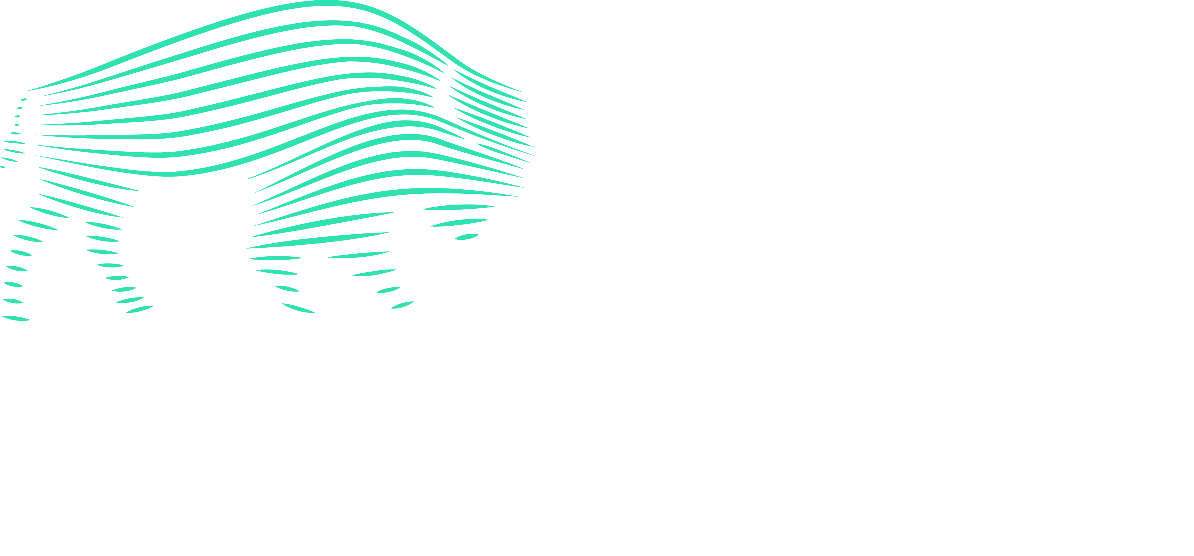 BG-Wordmark+Icon-White0